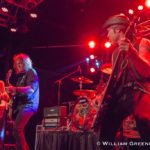 Y&T-1