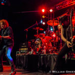 Y&T-6