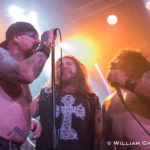 CoP-29