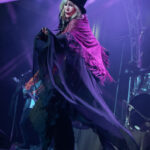Steve Nicks Illusions -9